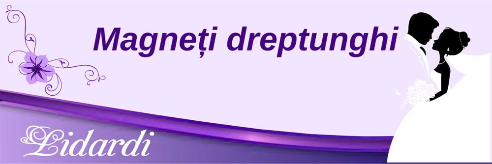 Marturii nunta magneti Lidardi