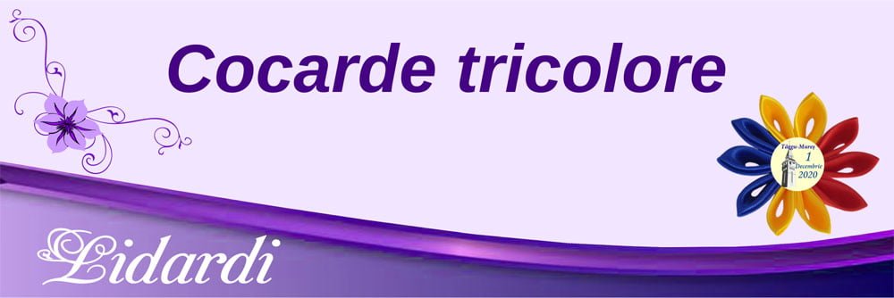 Articole botez baieti Lidardi
