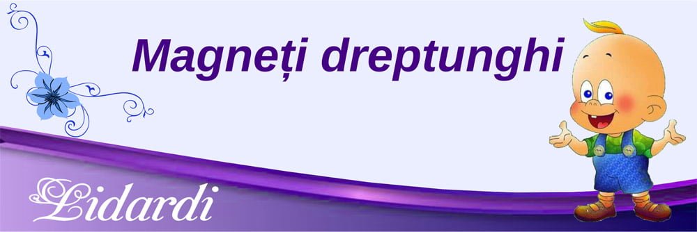 Plicuri bani nunta Lidardi