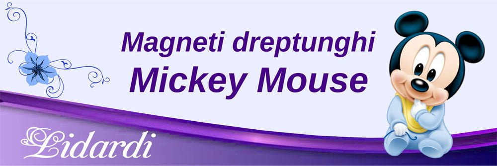 Magneti botez dreptunghi baieti Lidardi