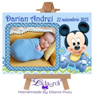 Marturii botez magneti dreptunghi Mickey Mouse