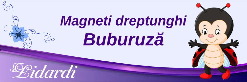 Marturii magneti botez dreptunghi baieti Lidardi
