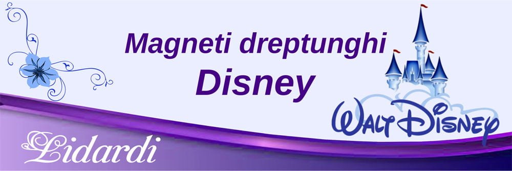 Marturii magneti botez dreptunghi baieti Lidardi