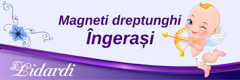 Marturii magneti botez dreptunghi baieti Lidardi