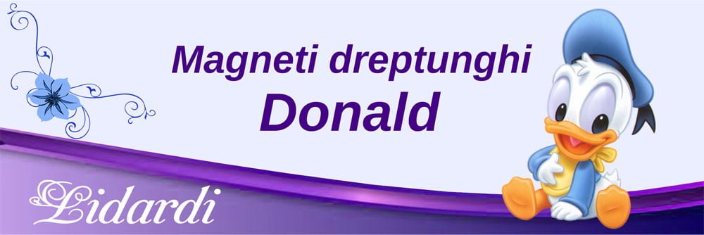 Marturii magneti botez dreptunghi baieti Lidardi