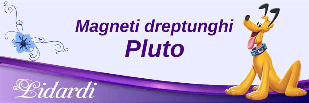 Marturii magneti botez dreptunghi baieti Lidardi