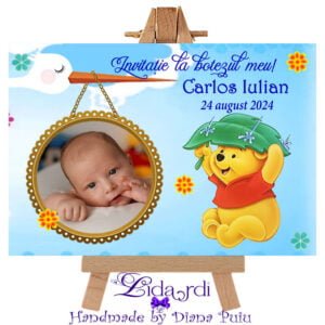 Invitatie botez dubla Winnie the Pooh