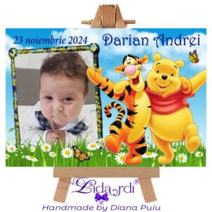 Marturii botez magneti dreptunghi Winnie the Pooh