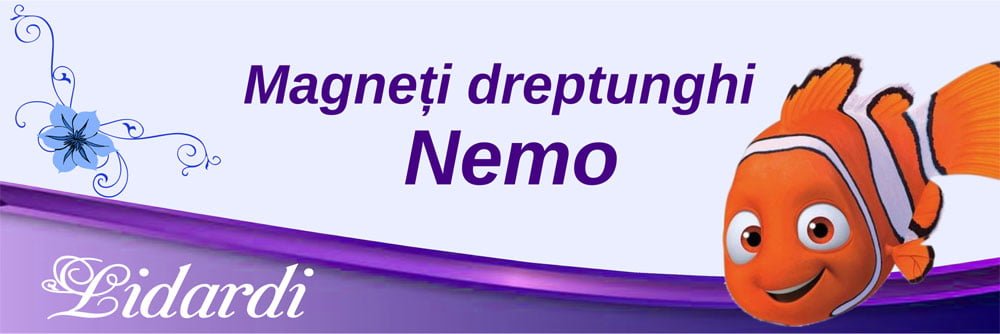 Marturii magneti botez dreptunghi baieti Lidardi