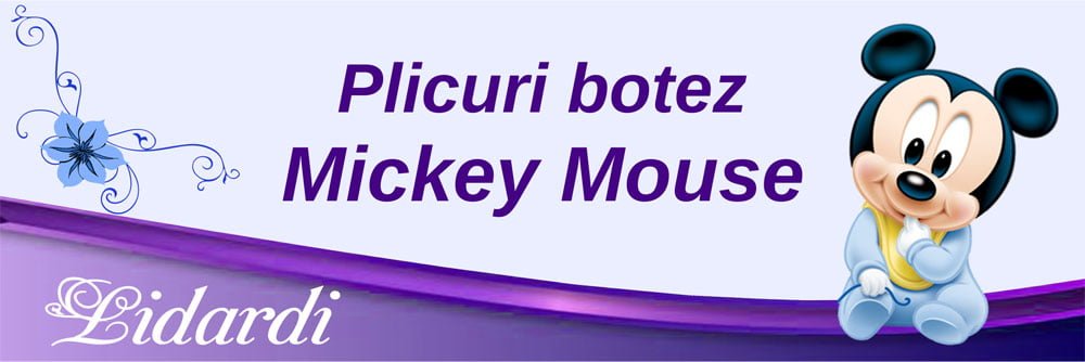 Magneti botez dreptunghi baieti Lidardi
