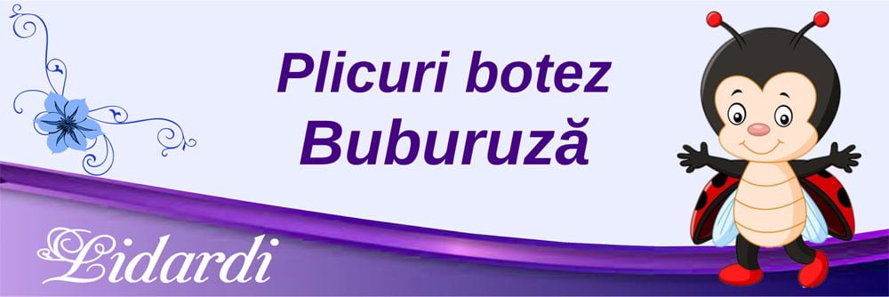 Marturii magneti botez dreptunghi baieti Lidardi