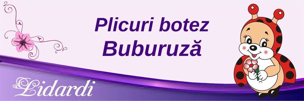 Marturii magneti botez dreptunghi baieti Lidardi