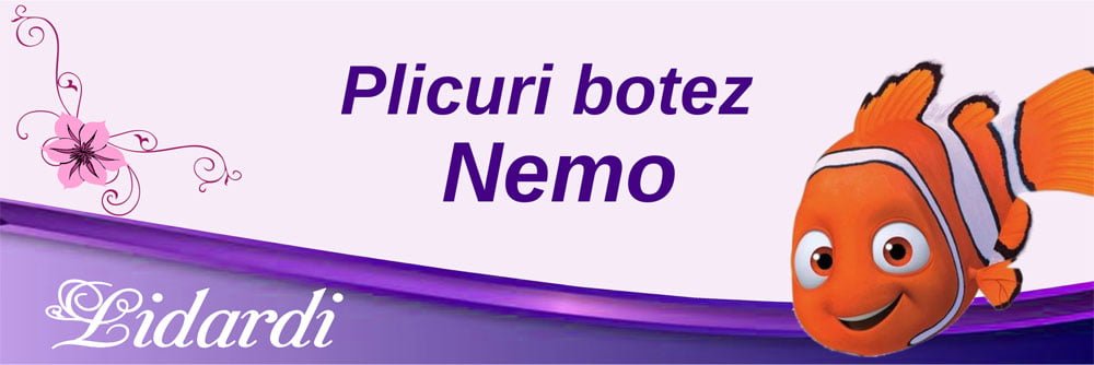 Marturii magneti botez dreptunghi baieti Lidardi