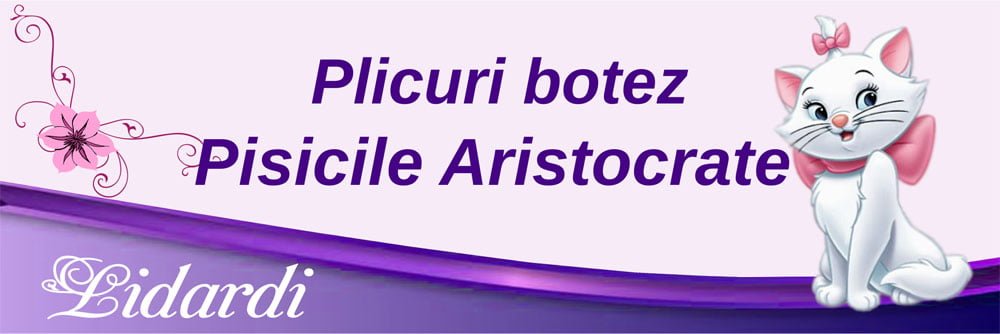 Marturii magneti botez dreptunghi baieti Lidardi