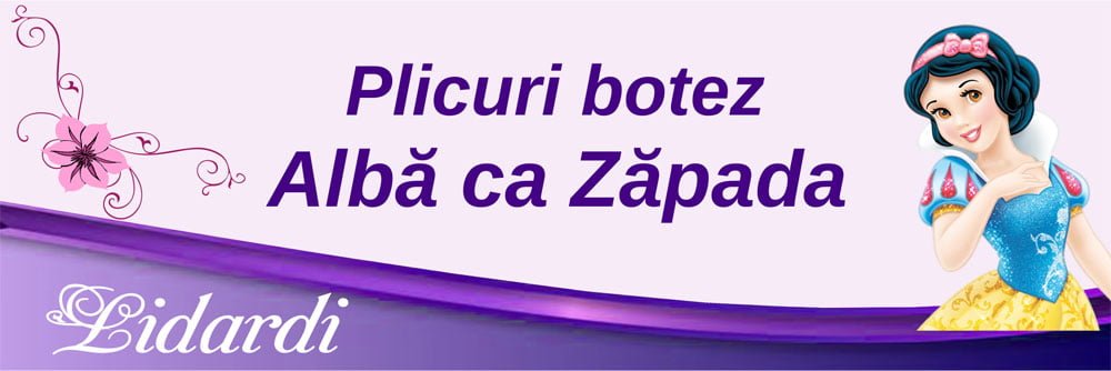 Marturii magneti botez dreptunghi baieti Lidardi
