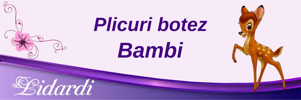 Marturii magneti botez dreptunghi baieti Lidardi