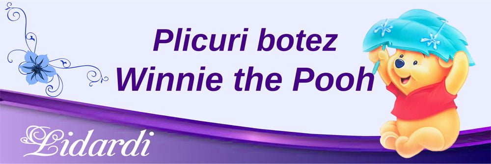 Magneti botez dreptunghi baieti Lidardi