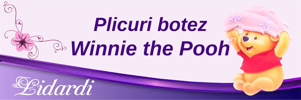 Magneti botez dreptunghi baieti Lidardi