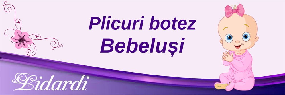 Magneti botez dreptunghi baieti Lidardi