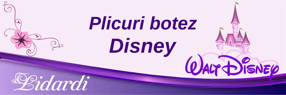 Magneti botez dreptunghi baieti Lidardi