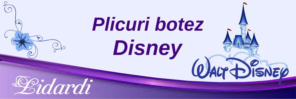 Marturii magneti botez dreptunghi baieti Lidardi