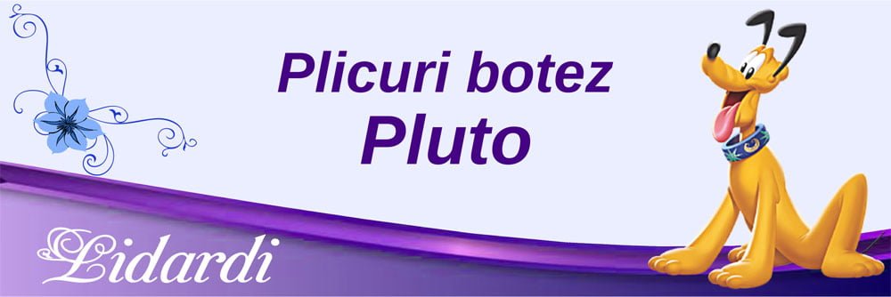Marturii magneti botez dreptunghi baieti Lidardi