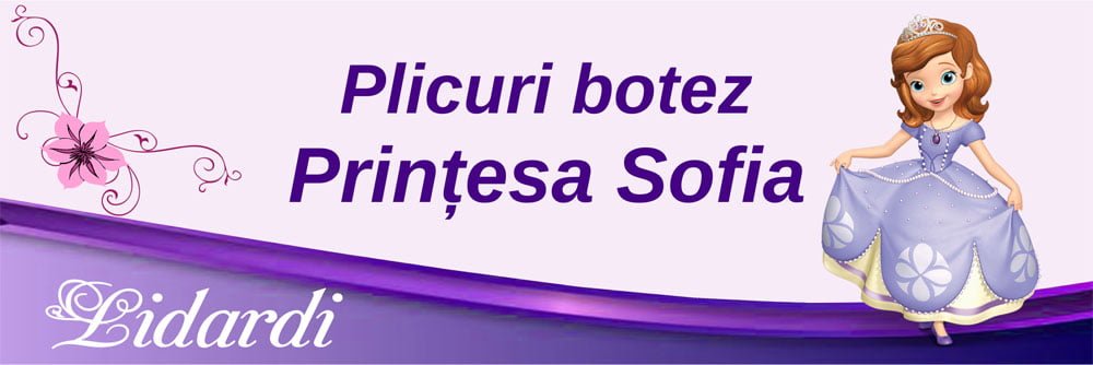 Marturii magneti botez dreptunghi baieti Lidardi