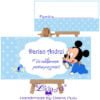 Plic bani botez Mickey Mouse
