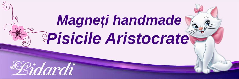 Marturii magneti botez dreptunghi baieti Lidardi