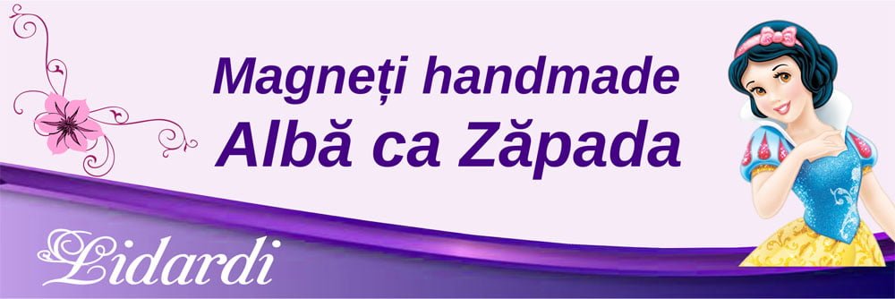 Marturii magneti botez dreptunghi baieti Lidardi