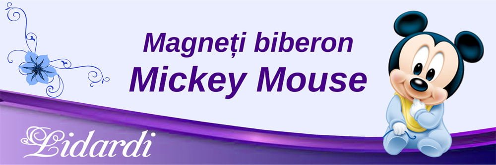 Magneti botez dreptunghi baieti Lidardi