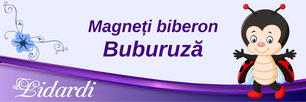 Marturii magneti botez dreptunghi baieti Lidardi