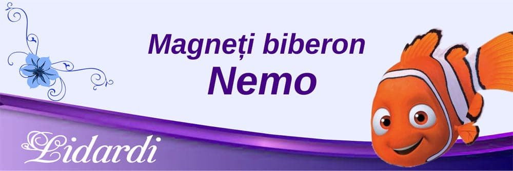 Marturii magneti botez dreptunghi baieti Lidardi