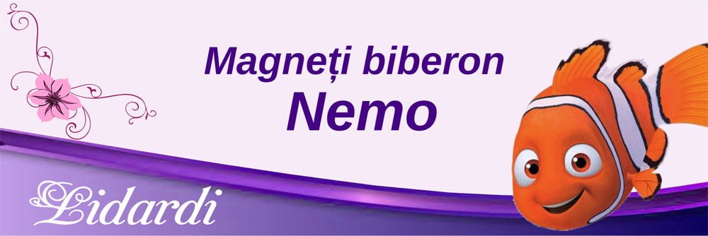 Marturii magneti botez dreptunghi baieti Lidardi