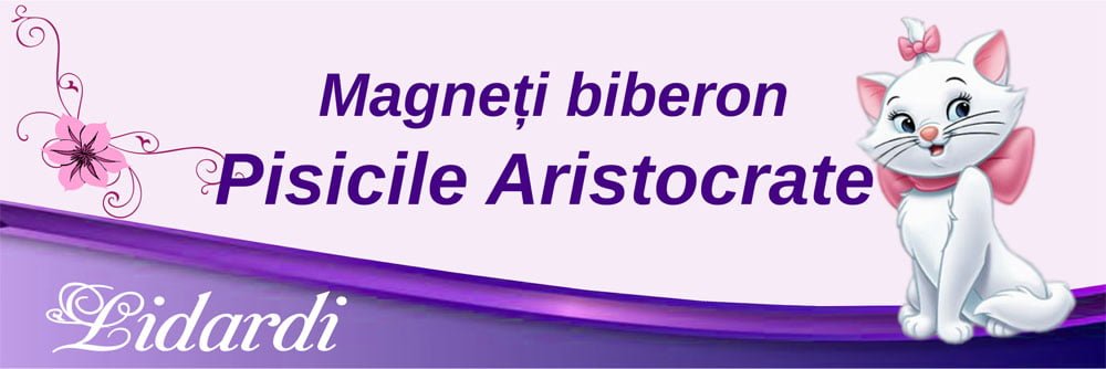 Marturii magneti botez dreptunghi baieti Lidardi