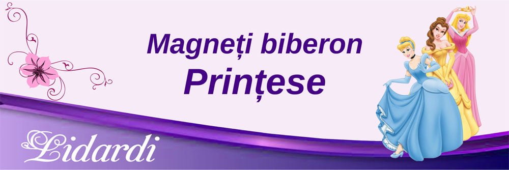 Marturii magneti botez dreptunghi baieti Lidardi