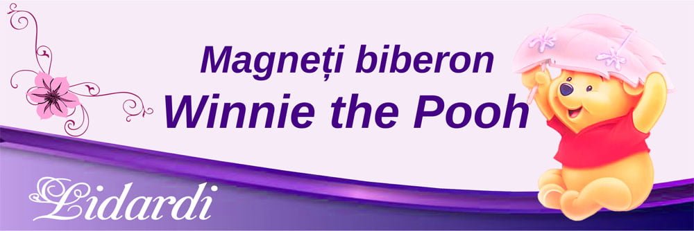 Magneti botez dreptunghi baieti Lidardi