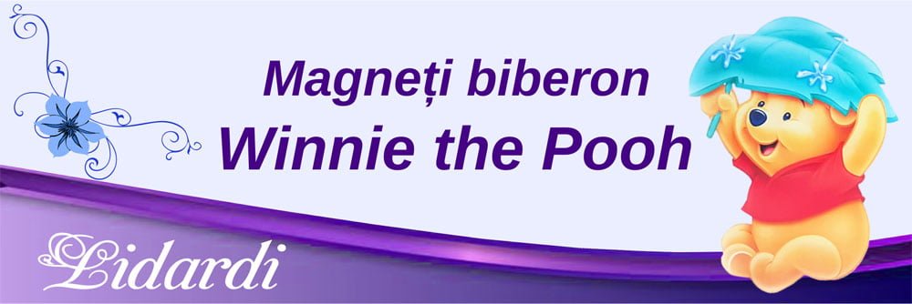 Magneti botez dreptunghi baieti Lidardi