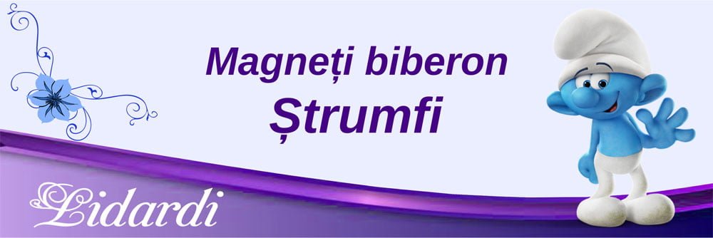 Magneti botez dreptunghi baieti Lidardi