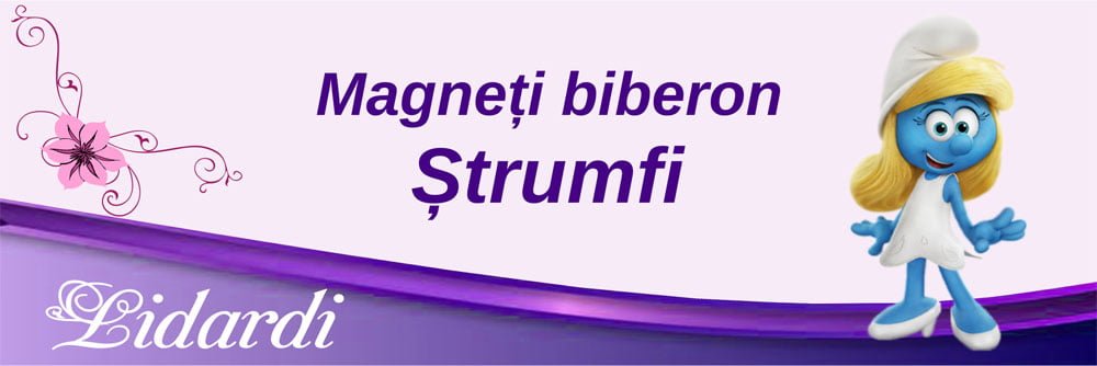 Magneti botez dreptunghi baieti Lidardi