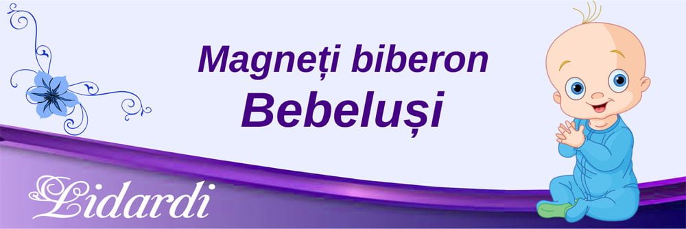 Magneti botez dreptunghi baieti Lidardi