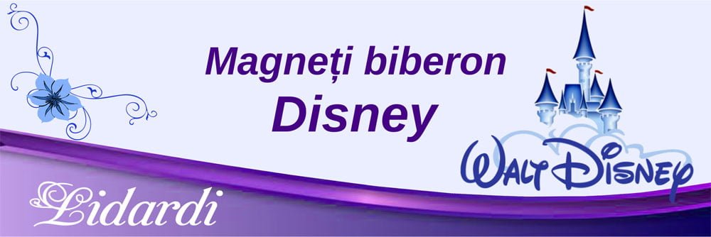 Marturii magneti botez dreptunghi baieti Lidardi