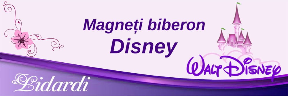 Marturii magneti botez dreptunghi baieti Lidardi