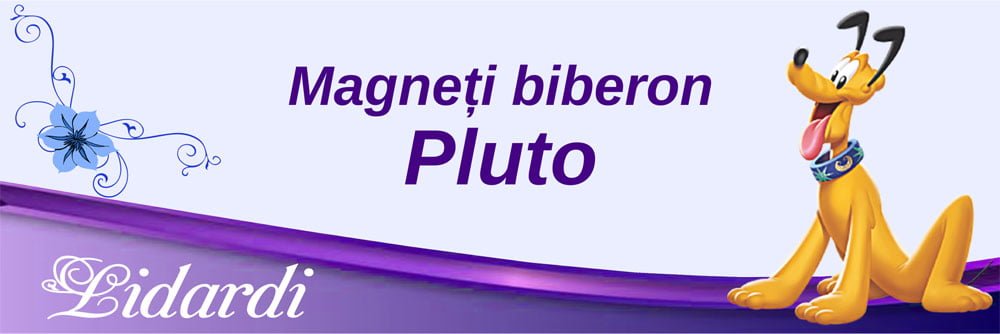 Marturii magneti botez dreptunghi baieti Lidardi