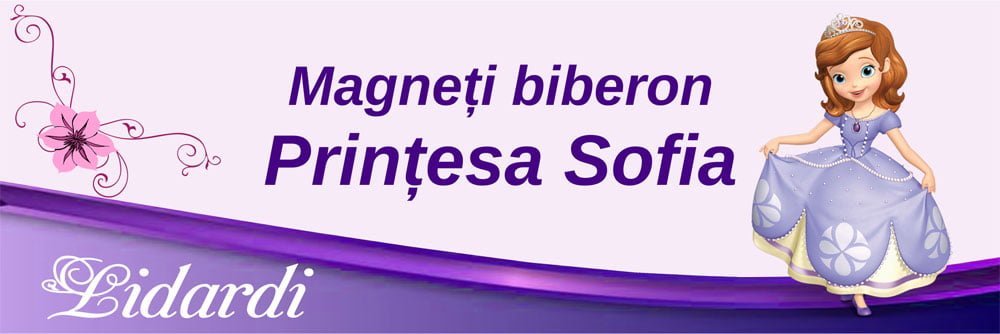 Marturii magneti botez dreptunghi baieti Lidardi