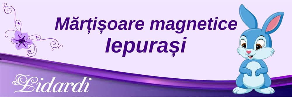 Magneti botez dreptunghi baieti Lidardi