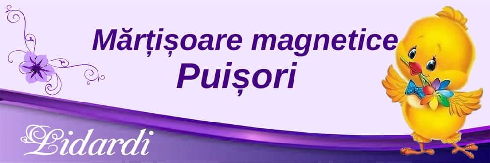 Marturii magneti botez dreptunghi baieti Lidardi