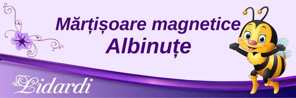 Marturii magneti botez dreptunghi baieti Lidardi