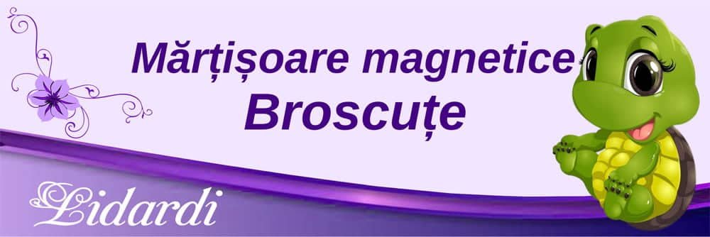 Marturii magneti botez dreptunghi baieti Lidardi