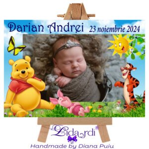 Marturii botez magneti dreptunghi Winnie the Pooh